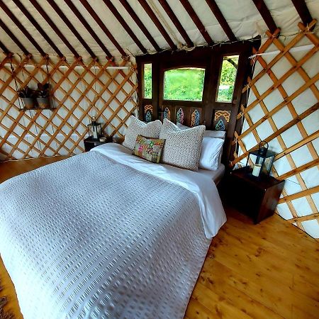 The Kites Rest At Castle Creavie Farm Hotel Kirkcudbright Buitenkant foto